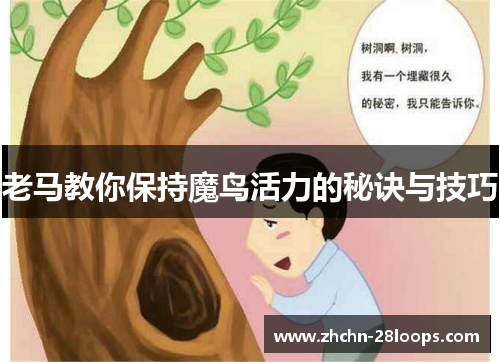 老马教你保持魔鸟活力的秘诀与技巧 老马教你保持魔鸟活力的秘诀与技巧